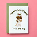 Shih Tzu Dog Christmas Card